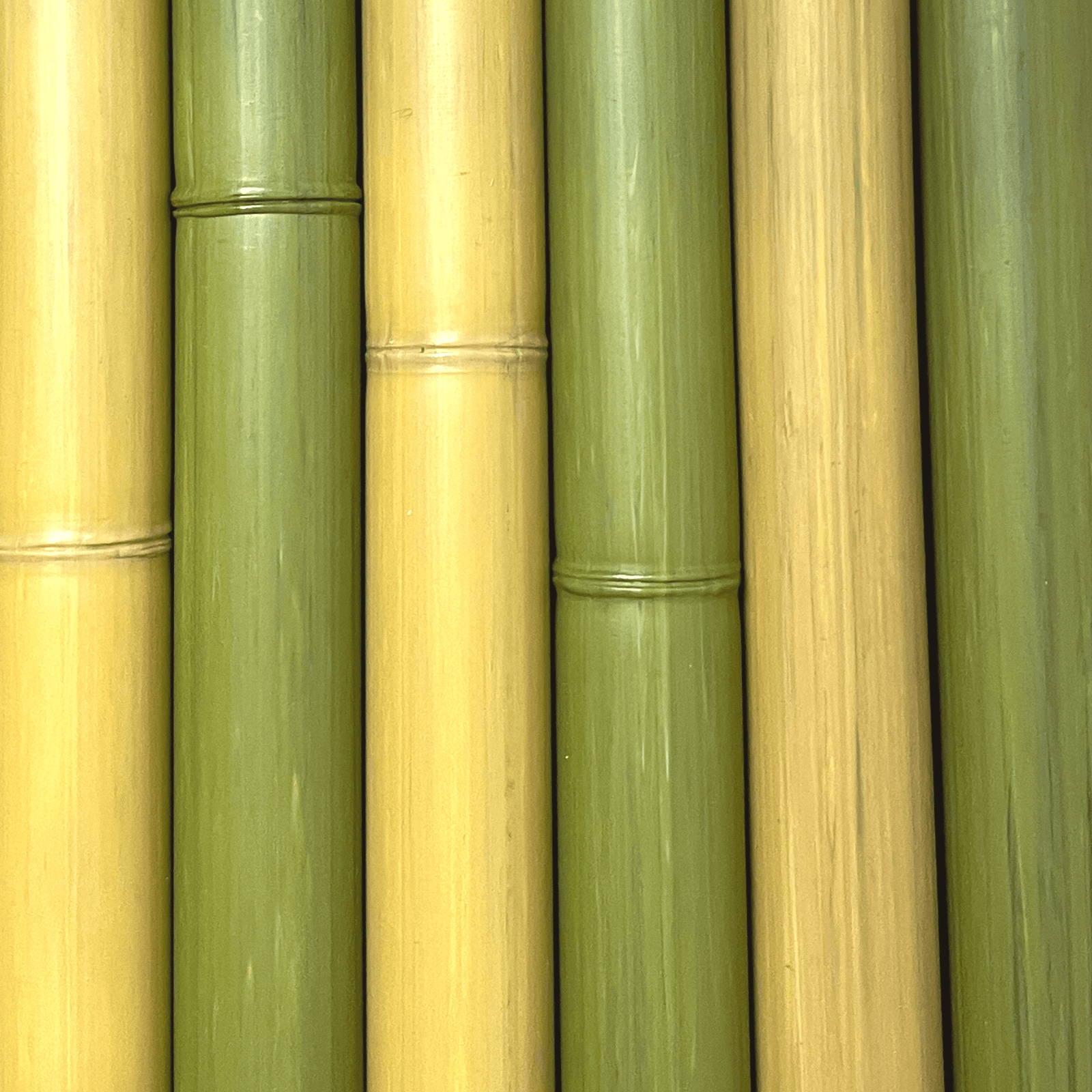Morceaux de bambou synthétique au diamètre de 75 mm de couleur naturelle et verte - Boutique Palmex