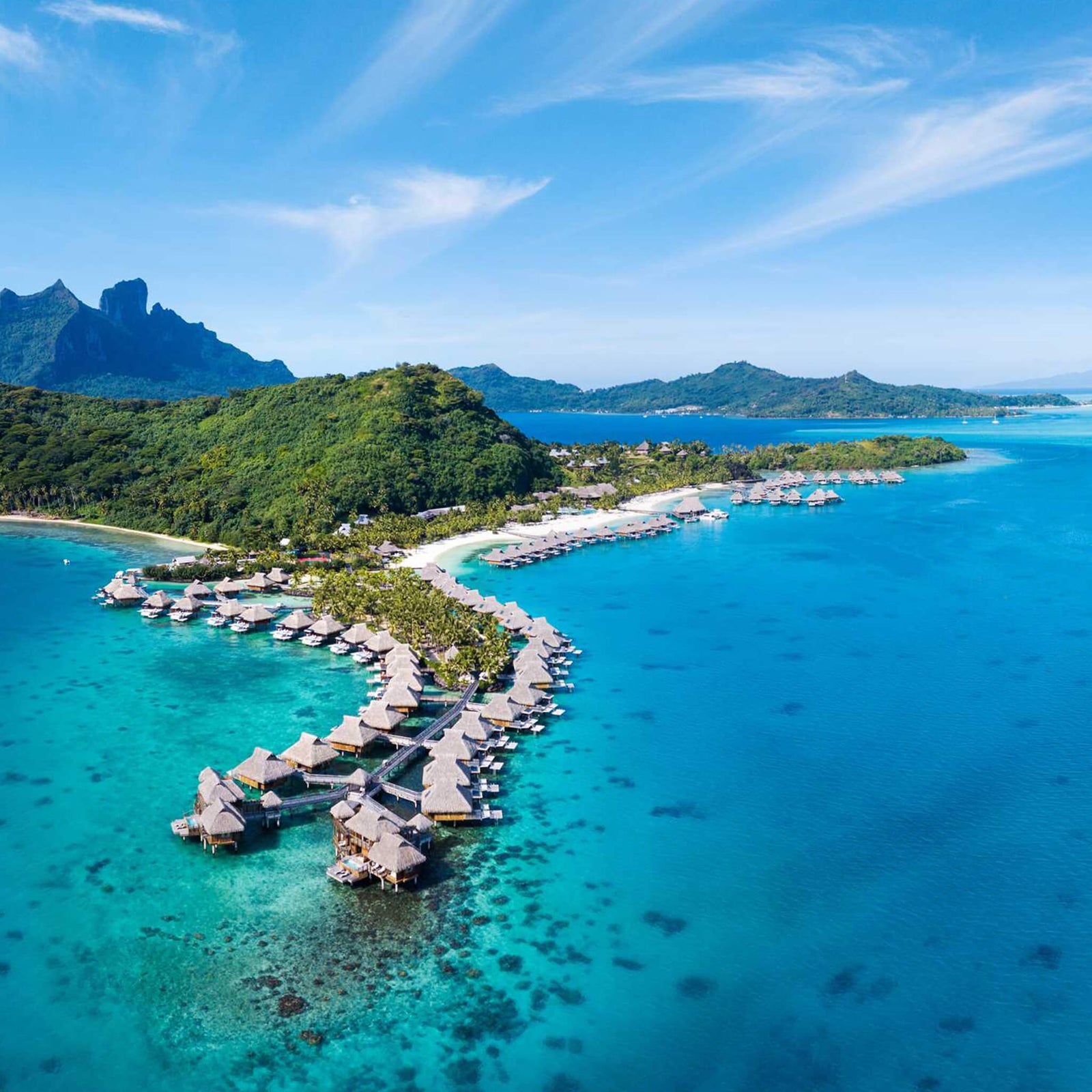 Vue d'un complexe aux toitures en feuilles de palmier en Polynésie Française - Boutique Palmex