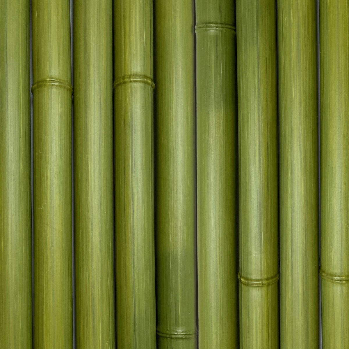 Ensemble de morceaux de bambou synthétiques au diamètre de 50 mm de couleur verte - Boutique Palmex