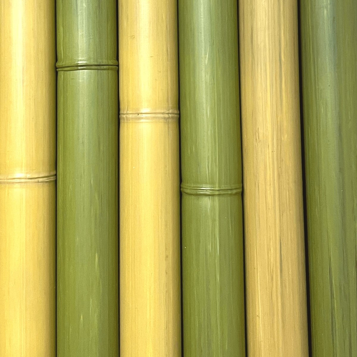 Ensemble de morceaux de bambou synthétiques au diamètre de 75 mm de couleur naturelle et verte - Boutique Palmex