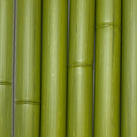 Ensemble de morceaux de bambou synthétiques au diamètre de 75 mm de couleur verte - Boutique Palmex