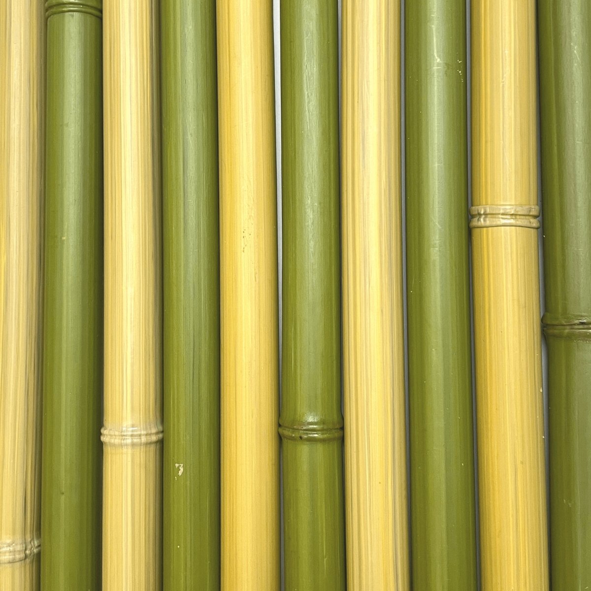 Ensemble de morceaux de bambou synthétiques au diamètre de 32 mm de couleur naturelle et verte - Boutique Palmex